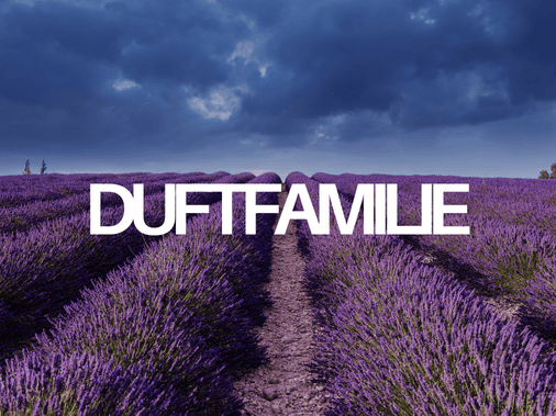 Duftfamilien Auswahl – Zitrus, Aquatisch, Amber, Holzig – Profumo D’oro