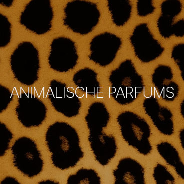 Animalische Parfums