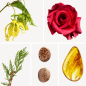 Preview: Duftnoten: Yang-Ylang, Virginische Zeder, türkische Rose, Muskat, Bernstein