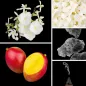 Preview: Duftnoten: Mango, Jasmin, Moschus, Gardenie, Weihrauch Preview: Duftnoten: Mango, Jasmin, Moschus, Gardenie, Weihrauch