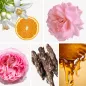 Preview: Duftnoten:bulgarische Rose, Orangenblüte, Rose, Oud, Honig