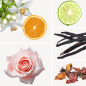 Preview: Duftnoten: Orangenblüte, Bergamotte, Rose, Vanille, Patschuli