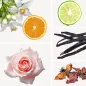 Preview: Duftnoten: Orangenblüte, Bergamotte, Rose, Vanille, Patschuli