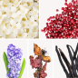 Preview: Duftnoten: Jasmin, rosa Pfeffer, Hyazinthe, Patschuli, Vanille