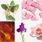 Preview: Duftnoten: Heckenkirsche, Marshmallow, Bernstein, Iris, Rose