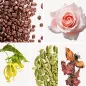 Preview: Duftnoten: Kaffee, Rose, Ylang.Ylang, Kardamom, Patschuli Preview: Duftnoten: Kaffee, Rose, Ylang.Ylang, Kardamom, Patschuli