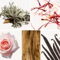 Preview: Duftnoten: Eichenmoos, Safran, Rose, Sandelholz, Vanille Preview: Duftnoten: Eichenmoos, Safran, Rose, Sandelholz, Vanille