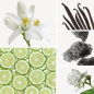 Preview: Duftnoten: Neroli, Vanille, Moschus, Jasmin-Sambac, weißer Moschus