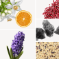 Preview: Duftnoten: Orangenblüte, rosa Pfeffer, Moschus, Reis, Hyazinte