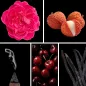 Preview: Duftnoten: Damaszener Rose, Lychee, Weihrauch, Kirsche, Vanille