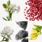 Preview: Duftnoten: Jasmin, rosa Pfeffer, Tuberose, Moschus, Ylang-Ylang Preview: Duftnoten: Jasmin, rosa Pfeffer, Tuberose, Moschus, Ylang-Ylang
