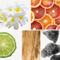 Preview: Duftnoten: Tiareblüte, Blutorange, Bergamotte, Sandelholz, Moschus
