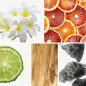 Preview: Duftnoten: Tiareblüte, Blutorange, Bergamotte, Sandelholz, Moschus Preview: Duftnoten: Tiareblüte, Blutorange, Bergamotte, Sandelholz, Moschus