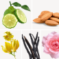 Preview: Duftnoten: Bergamotte, Bittermandel, Ylang-Ylang, Vanille, Pfingsrose