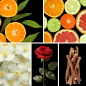 Preview: Duftnoten: Mandarine, Zitrusfrüchte, Rose, Jasmin, Vanille