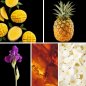 Preview: Duftnoten: Mango, Ananas, Iris, Amber, Jasmin