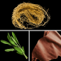 Preview: Duftnoten des Profumo D’oro Herrenparfums mit Muskatellersalbei, Leder und Vetiver – dunkel, aromatisch und holzig