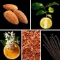 Preview: Duftnoten Mandel, Vanille, Bergamotte, Sandelholz, Orangenblüte