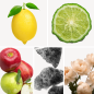 Preview: Duftnoten: Zitrone, Bergamotte, Apfelnoten, Moschus, florale Noten