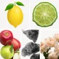Preview: Duftnoten: Zitrone, Bergamotte, Apfelnoten, Moschus, florale Noten