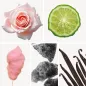 Preview: Duftnoten: Rose, Bergamotte, Zuckerwatte, Moschus, Vanille Preview: Duftnoten: Rose, Bergamotte, Zuckerwatte, Moschus, Vanille
