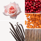 Preview: Duftnoten: Rose, Kirsche, Mandel, Vetiver, Vanille