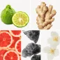 Preview: Duftnoten: Ingwer, Bergamotte, Blutorange, Jasmin, Moschus