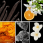 Preview: Duftnoten: Vanuille, Orangenblüte, Amber, Moschus, Jasmin