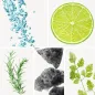 Preview: Duftnoten: aquatische Noten, Limette, Rosmarin, Moschus, Koriander