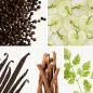 Preview: Duftnoten: Pfeffer, Apfel, Vanille, holzige- Noten, Koriander Preview: Duftnoten: Pfeffer, Apfel, Vanille, holzige- Noten, Koriander