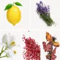 Preview: Duftnoten: Zitrone, Lavendel, Neroli, rosa Pfeffer, Patschuli