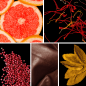 Preview: Duftnoten: Grapefruit, Safran, rosa Pfeffer, Leder, Tabak