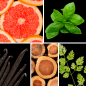 Preview: Duftnoten. Grapefruit, Basilikum, Vanille, Zedernholz, Koriander