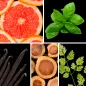 Preview: Duftnoten. Grapefruit, Basilikum, Vanille, Zedernholz, Koriander Preview: Duftnoten. Grapefruit, Basilikum, Vanille, Zedernholz, Koriander