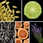 Preview: Duftnoten: Kardamom, Bergamotte, Tonkabohne, Zedernholz, Lavendel Preview: Duftnoten: Kardamom, Bergamotte, Tonkabohne, Zedernholz, Lavendel