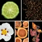 Preview: Duftnoten: zitrische Noten, Pfeffer, Labdanum, Zedernholz, Patchouli Preview: Duftnoten: zitrische Noten, Pfeffer, Labdanum, Zedernholz, Patchouli