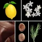 Preview: Duftnoten: Zitrone, Styrax, Leder, Muskat, Rosmarin Preview: Duftnoten: Zitrone, Styrax, Leder, Muskat, Rosmarin