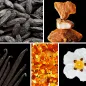 Preview: Duftnoten: Tonakbohne, Benzoeharz, Vanille, Amber, Labdanum