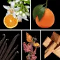Preview: Duftnoten: Orangenblüte, Mandarine, Vanille, Patchouli, Sandelholz Preview: Duftnoten: Orangenblüte, Mandarine, Vanille, Patchouli, Sandelholz