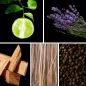 Preview: Duftnoten: Bergamotte, Lavendel, Sandelholz, Vetiver, Sichuan-Pfeffer