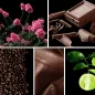 Preview: Duftnoten: Myrte, Schokolade, Kaffee, Leder, Bergamotte