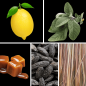 Preview: Duftnoten: Zitrus- Noten, Salbei, Karamell, Tonkabohne, Vetiver