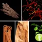 Preview: Duftnoten: Oud, Safran, Zimt, Sandelholz, Bergamotte Preview: Duftnoten: Oud, Safran, Zimt, Sandelholz, Bergamotte