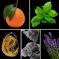 Preview: Duftnoten: Mandarine, Basilikum, Vetiver, Moschus, Lavendel