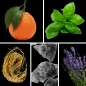 Preview: Duftnoten: Mandarine, Basilikum, Vetiver, Moschus, Lavendel Preview: Duftnoten: Mandarine, Basilikum, Vetiver, Moschus, Lavendel