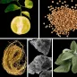 Preview: Duftnoten: bergamotte, Koriander, Vetiver, Moschus, Salbei Preview: Duftnoten: bergamotte, Koriander, Vetiver, Moschus, Salbei