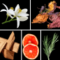 Preview: Duftnoten: Neroli, Patchouli, Sandelholz, Bitterorange, Rosmarin