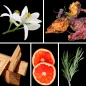 Preview: Duftnoten: Neroli, Patchouli, Sandelholz, Bitterorange, Rosmarin Preview: Duftnoten: Neroli, Patchouli, Sandelholz, Bitterorange, Rosmarin