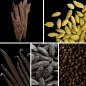 Preview: Duftnoten: Oud, Kardamom, Vanille, Tonkabohne, Pfeffer Preview: Duftnoten: Oud, Kardamom, Vanille, Tonkabohne, Pfeffer