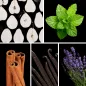 Preview: Duftnoten: Birne, Minze, Zimt, Vanille, Lavendel Preview: Duftnoten: Birne, Minze, Zimt, Vanille, Lavendel